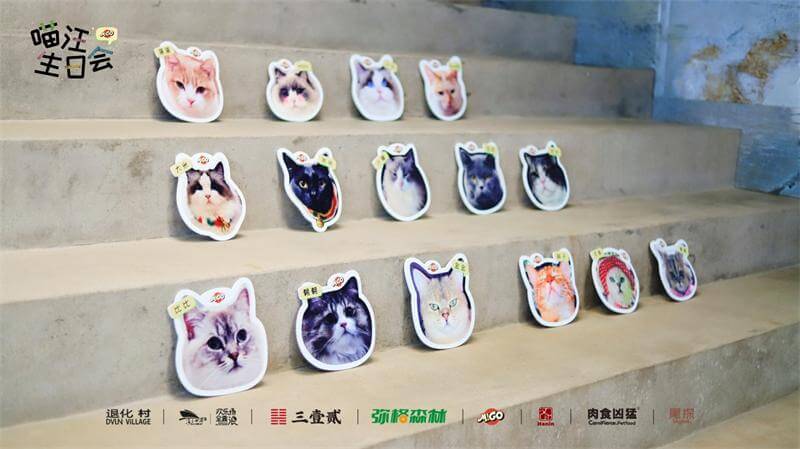 喵的生日會 1
